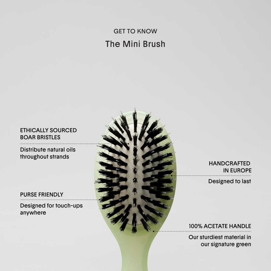 get to know TheMiniBrush